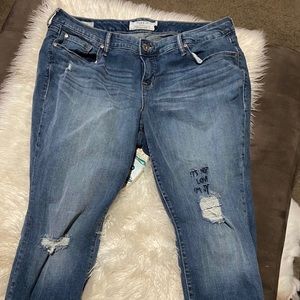 Torrid jeans